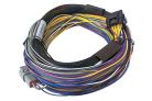 Haltech Elite 750 Basic Universal Wire-in Harness 2.5m
