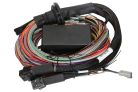 Haltech Elite 2500 Premium Universal Wire-in Harness 2.5m color-coded wires