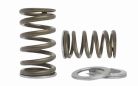 KELFORD Toyota 2JZ high-performance valve springs with PACALOY design