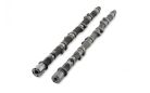 Kelford Cams RB25 VCT 246-A camshaft 262/262 degree