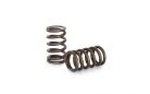 Kelford RB25NEO Valve Spring Kit with drop-in design for performance