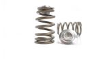 Kelford SR20 premium valve springs with titanium retainer set