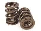 Nissan Holden RB30 SOHC Dual Valve Spring Kit