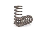 Nissan SR20 Valve Spring Kit with performance specifications