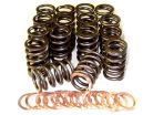 Toyota 3RZ Performance Valve Spring Kit with specifications