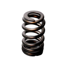 Chev LS1/LS2 Ovate Wire Beehive Valve Spring Kit