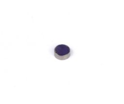 Rare Earth Magnets (5mm DIA x 2mm H)