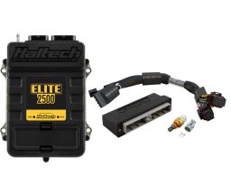 Elite 2500 PnP Adapt Kit - Nissan Skyline R34 GT-T