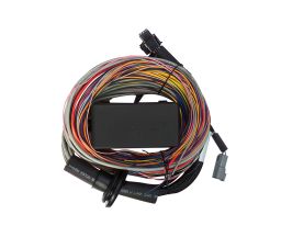 Haltech Elite 750 Premium Universal Wire-in Harness 2.5m
