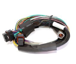 Haltech Elite 2500 Universal Wire-in Harness 2.5m basic installation kit