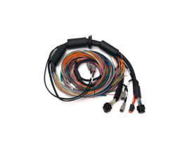 Color-coded labeled wires for Haltech Nexus R3 harness
