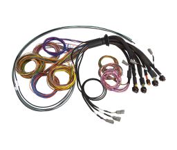 Haltech NEXUS R5 Basic Universal Wire-In Harness 2.5M with color-coded wires