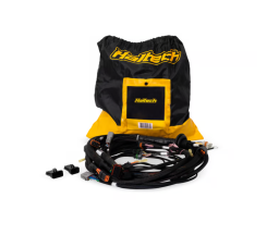 Haltech Nexus Rebel LS Terminated Harness for Nexus Rebel LS ECU