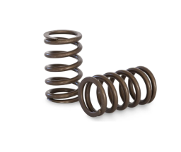 Performance Springs Toyota 7MGTE Valve Spring Set