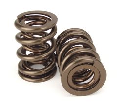 Nissan Holden RB30 SOHC Dual Valve Spring Kit