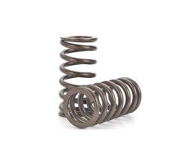 Nissan TD42 Valve Spring Kit with 100Lbs seat tension