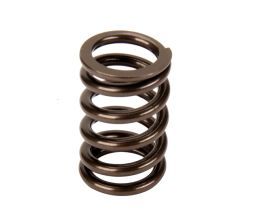 Performance Springs Toyota 4AGE 20V Valve Spring Kit