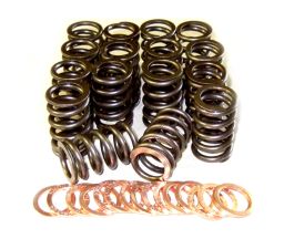 Performance Springs Toyota 3RZ Valve Spring Kit