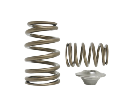 Kelford SR20VE Beehive Springs with Titanium Retainers