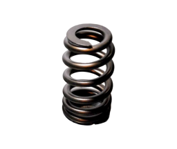 Chev LS1/LS2 Ovate Wire Beehive Valve Spring Kit